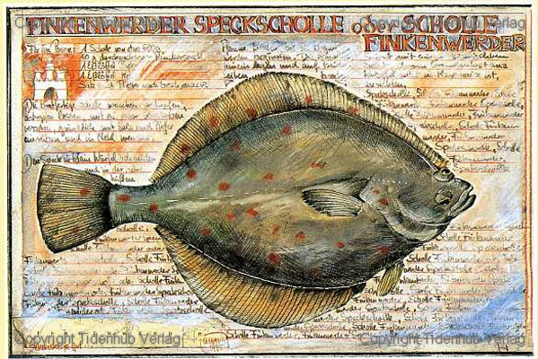 Passera con pancetta di Finkenwerder da Ole West