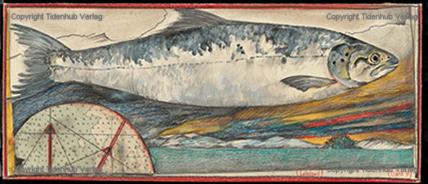 Terra del salmone da Ole West