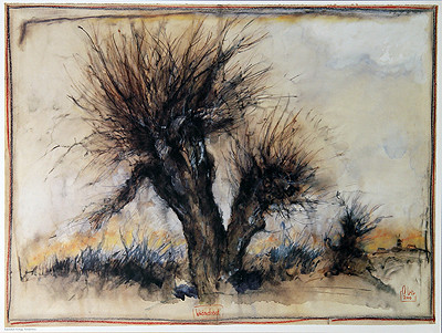 Sera dei salici da Ole West