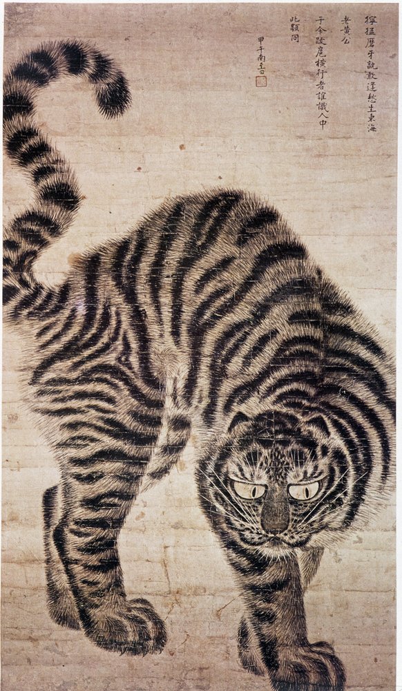 Stampa Tigre Colorata Adesivi A Tema Tigre | Motivi Esclusivi