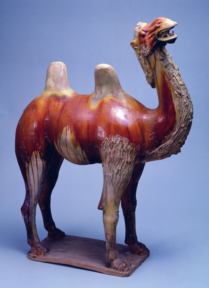 Cammello, Dinastia Tang da Tang Dynasty Chinese School