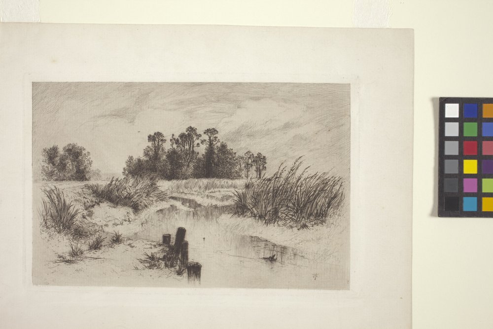 Paesaggio paludoso con ruscello da Thomas Moran