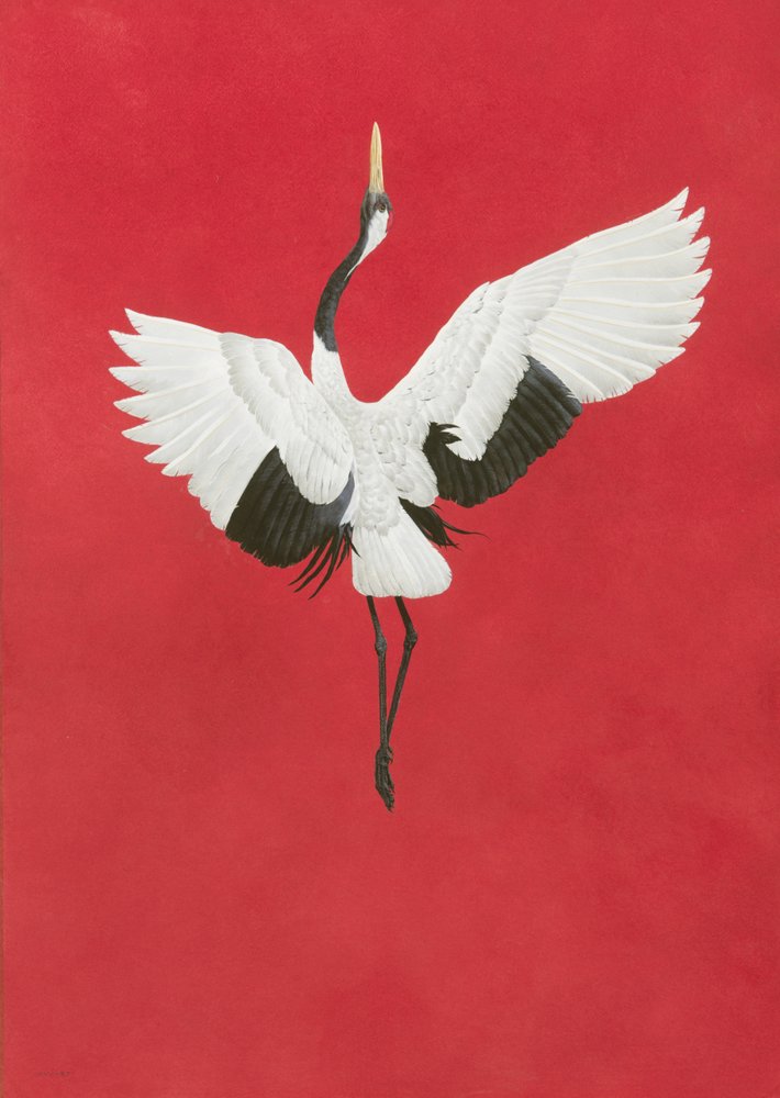 La Danza-Rosso da Tim Hayward