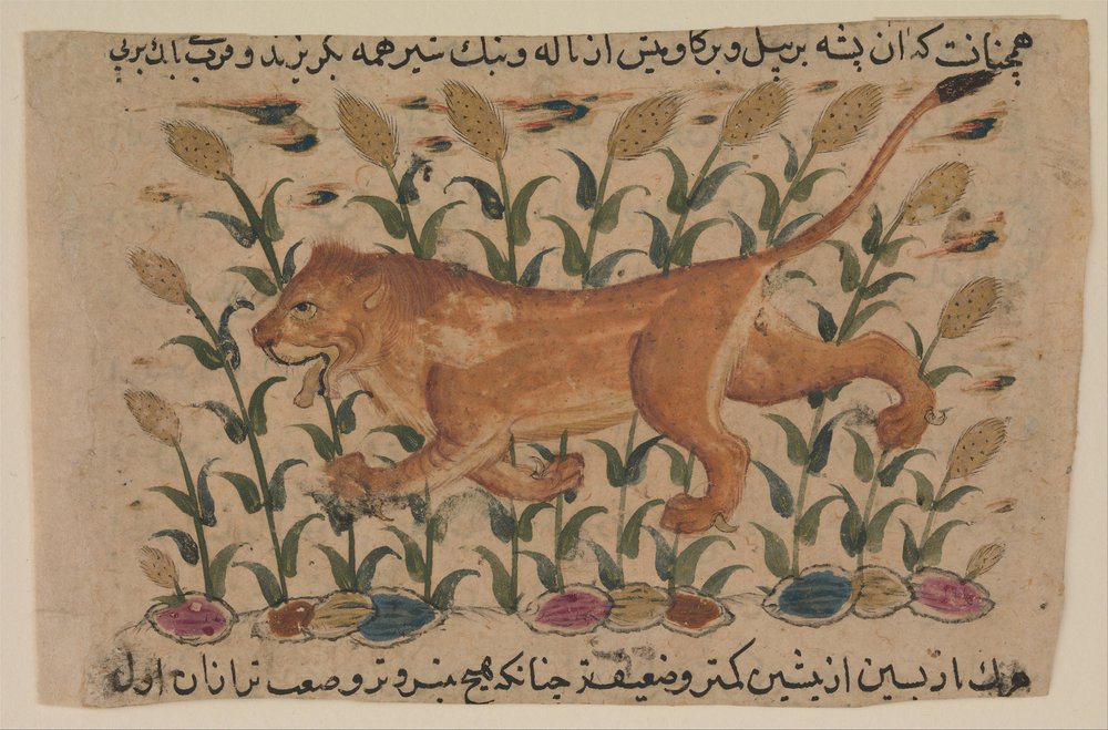 Un Leone, Folio da un Nuzhatnama-i ‘Ala’i Disperso da Unbekannt