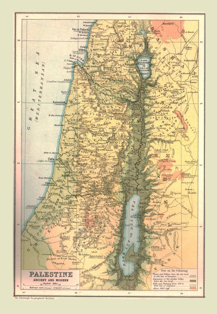 VETRO BANDIERA PALESTINA Cabohcon Preghiera per la Palestina Donne Uomo