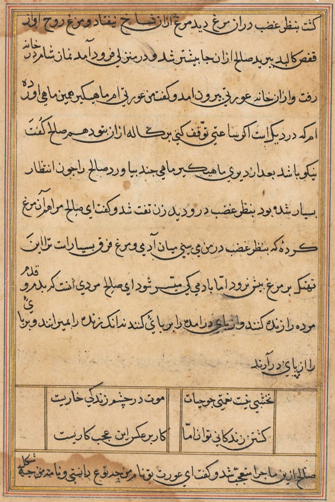 Pagina da Tales of a Parrot Tuti-nama: pagina di testo da Unbekannt