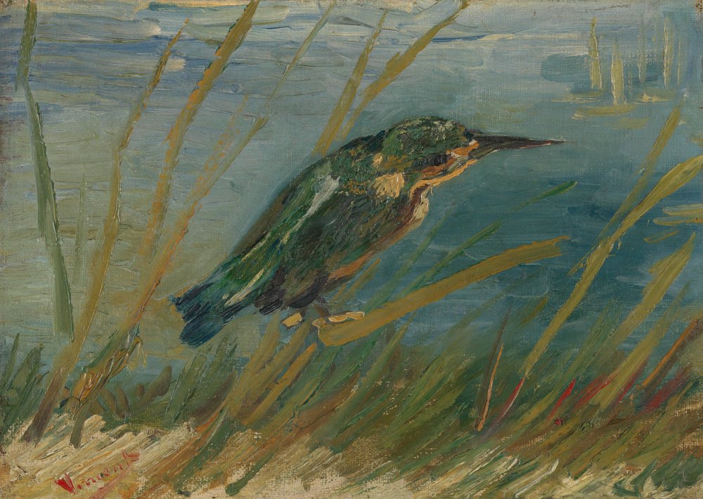 Martin pescatore sulla riva da Vincent van Gogh