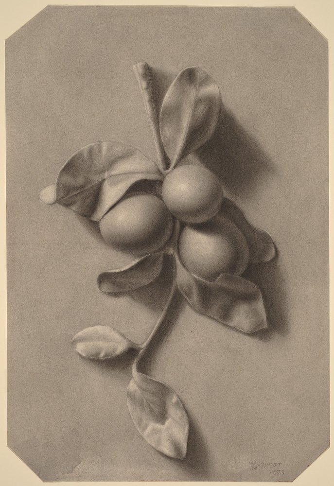 Un rametto di prugne da William Michael Harnett