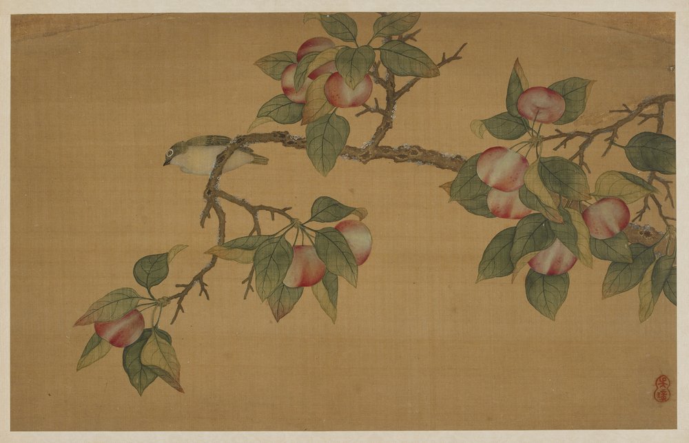 Uccello e frutta, dinastia Qing, 1741 da Wu Zhang