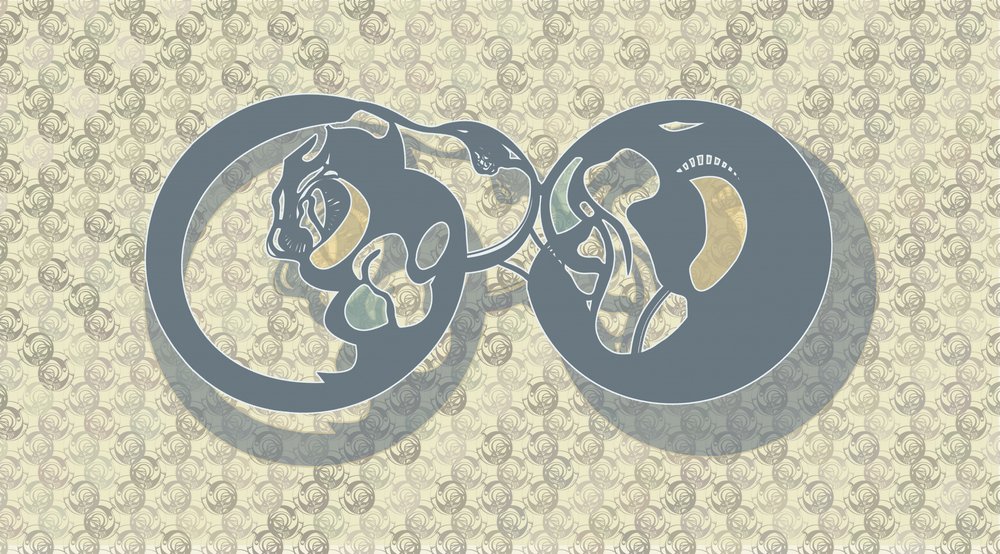 Abstract: Feline Infinity da Alejandra Winkhaus