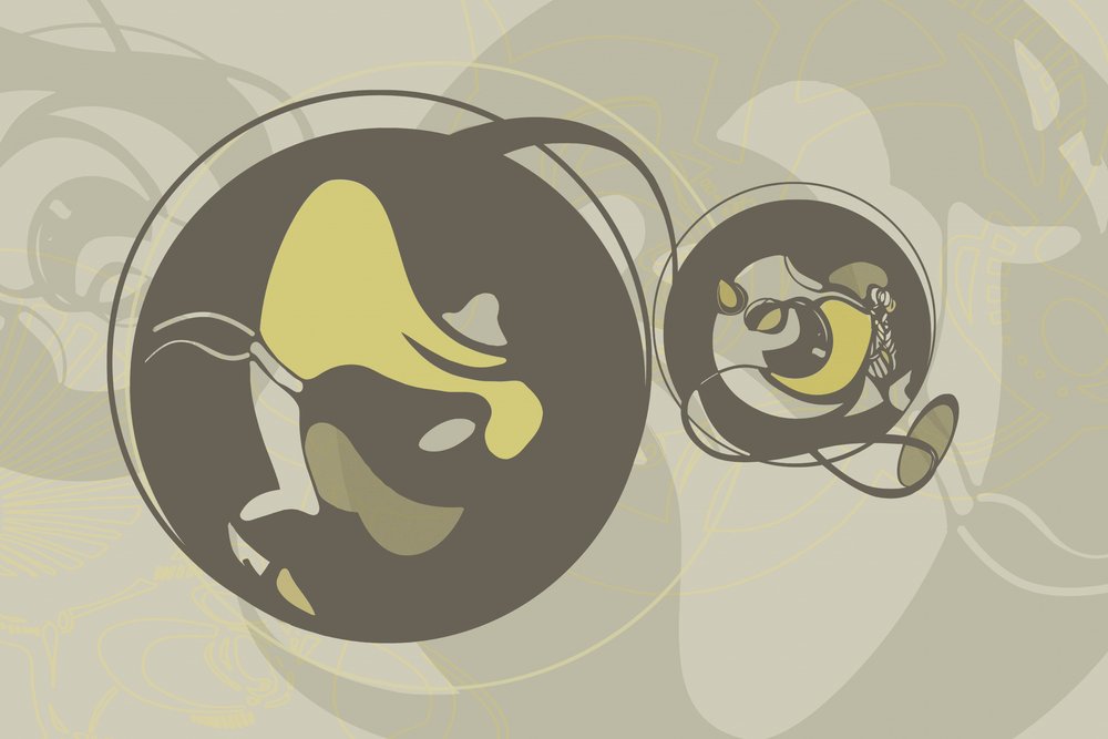 Forme organiche dinamiche da Alejandra Winkhaus