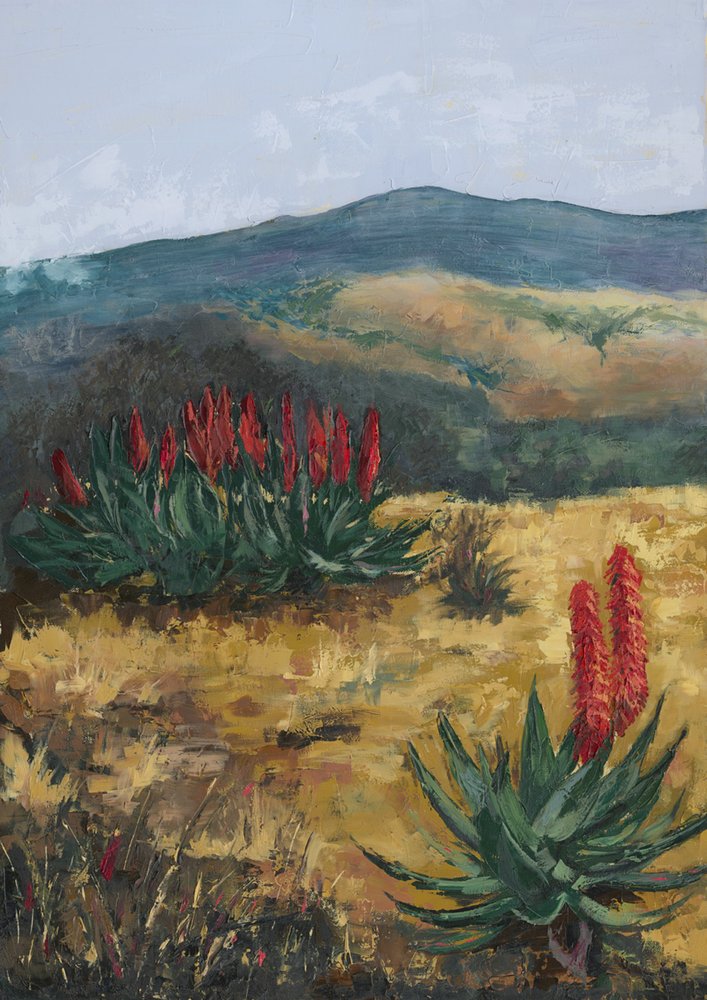 Red Aloes Desert Hills da Alex Cornell
