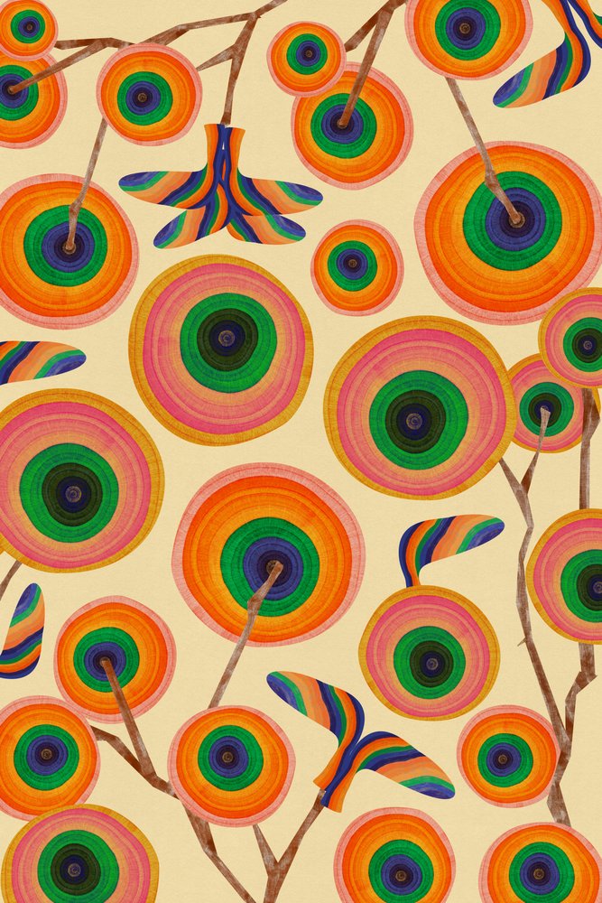 Campo di raccolta dell