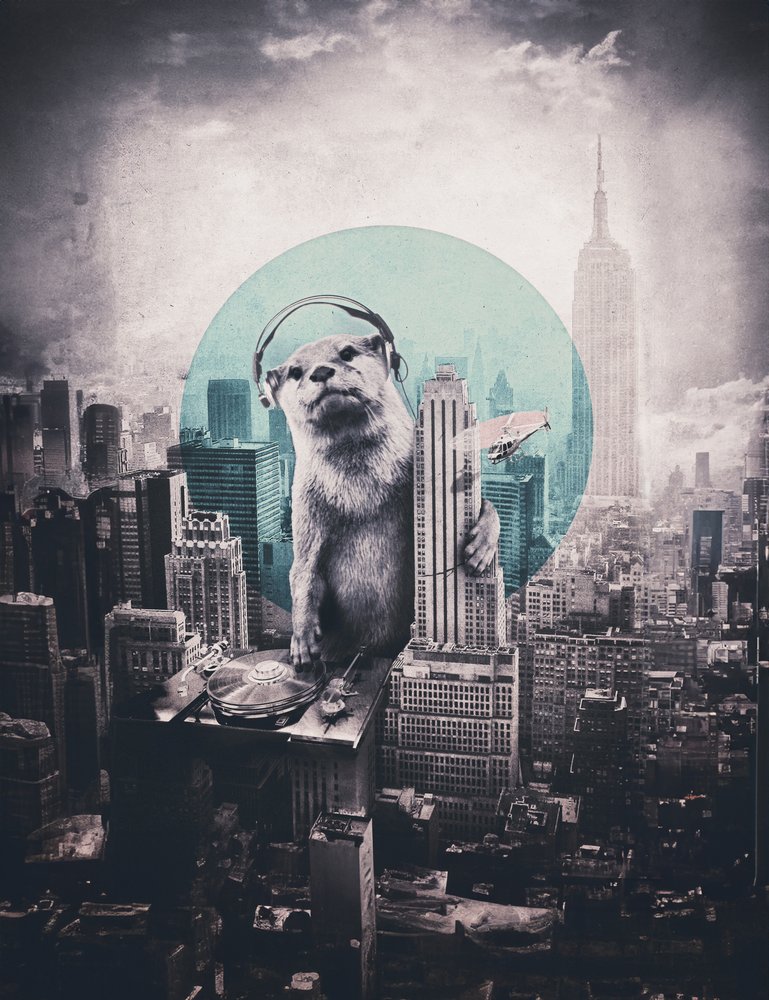 Urban Otter DJ da Ali Gulec
