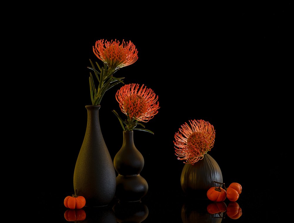 Natura morta con protea autunnale da Alice Sheng