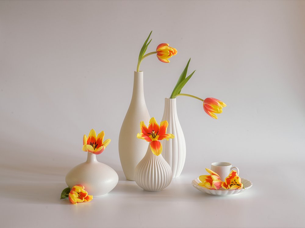 Natura morta con tulipani dai colori vivaci da Alice Sheng
