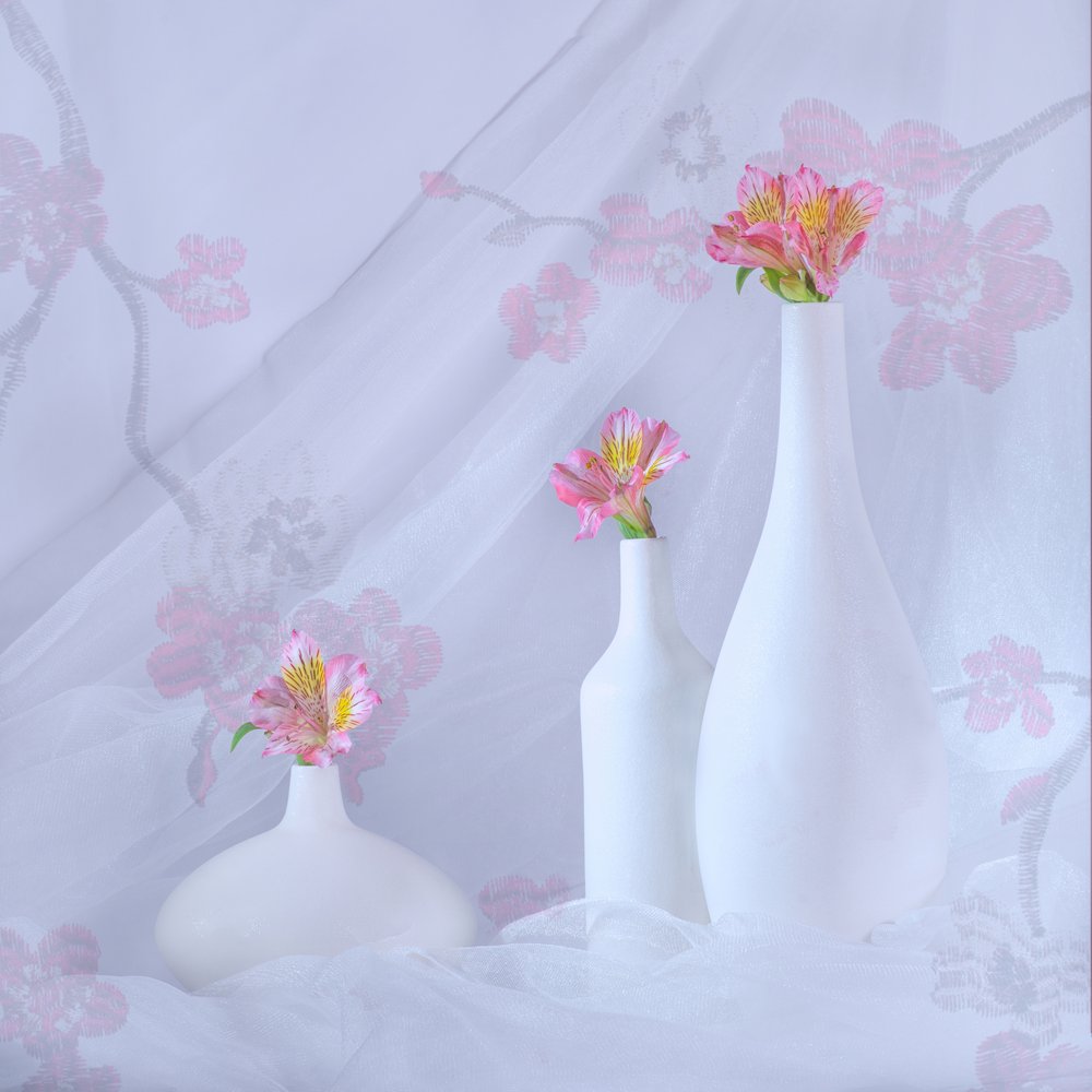 Eleganti fiori rosa da Alice Sheng