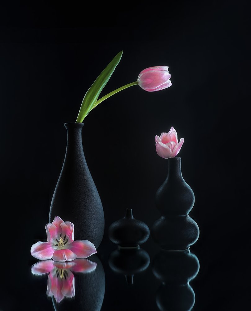 Eleganti riflessi di tulipani da Alice Sheng