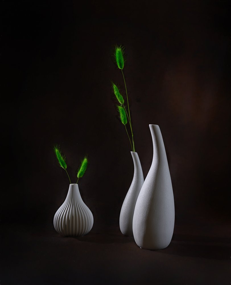 Vasi eleganti e piante verdi da Alice Sheng