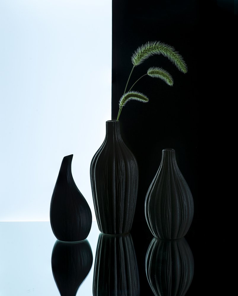 Vasi eleganti con erba da Alice Sheng