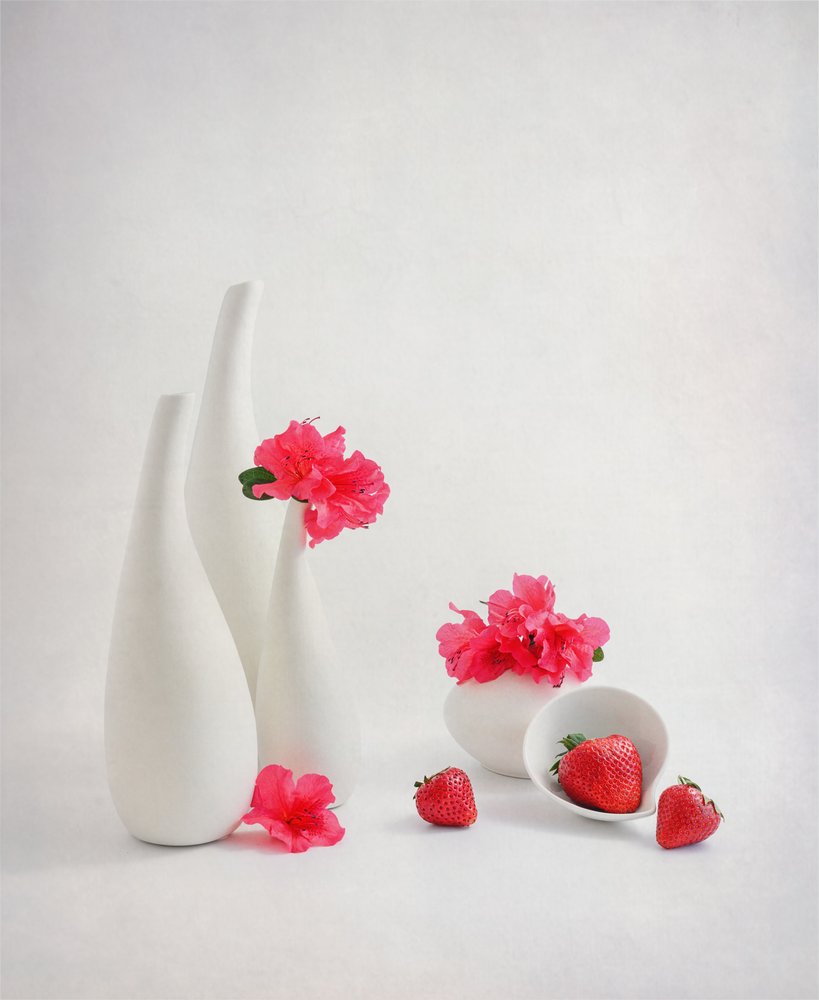 Fragole fresche e fiori rosa da Alice Sheng