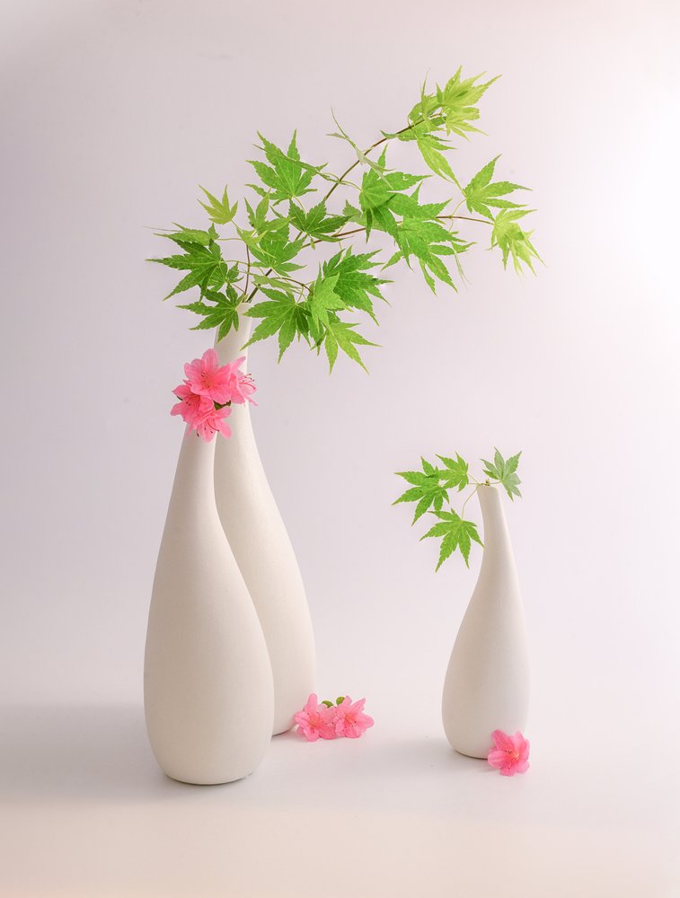 Foglie verdi, fiori rosa da Alice Sheng