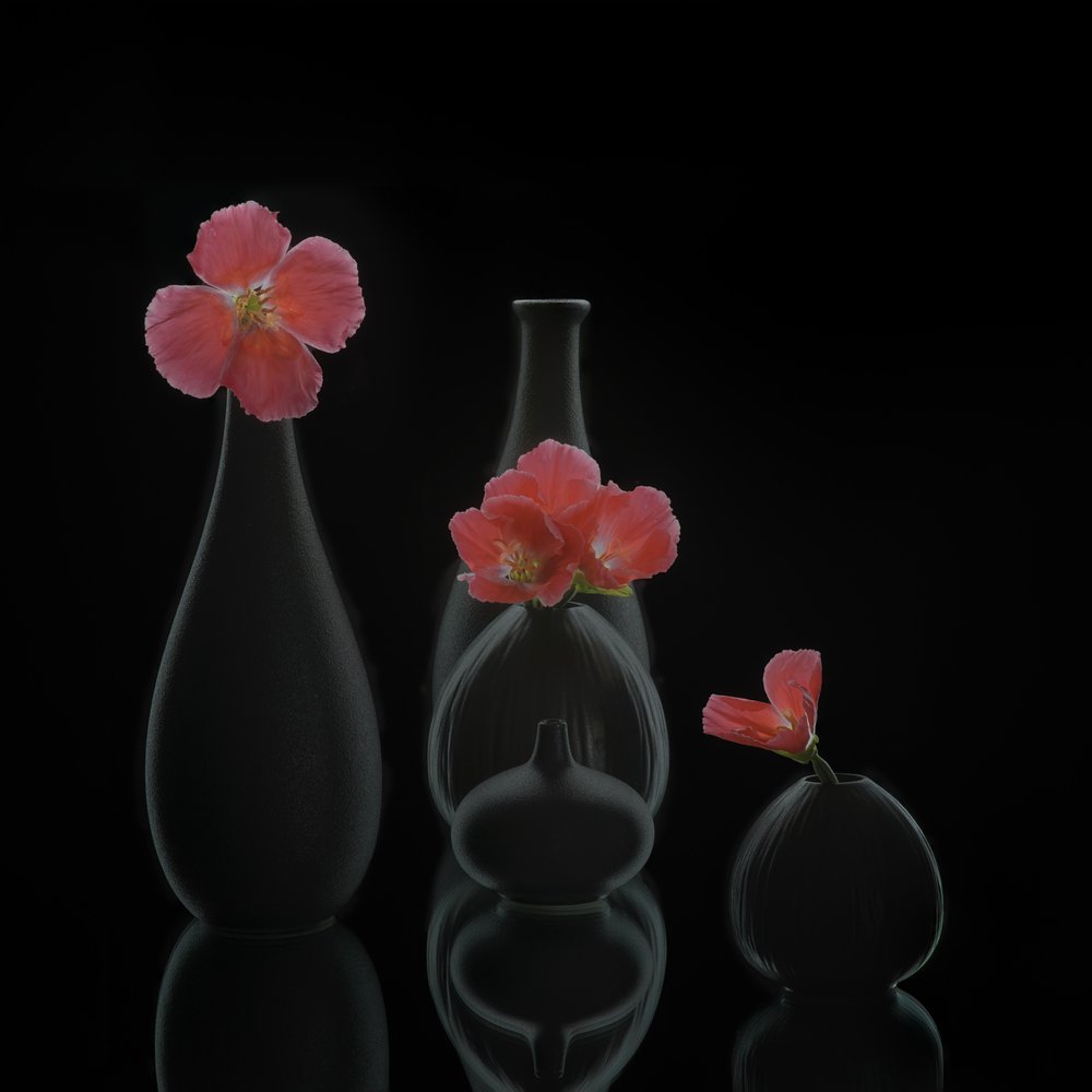 Vasi da fiori in stile minimalista da Alice Sheng