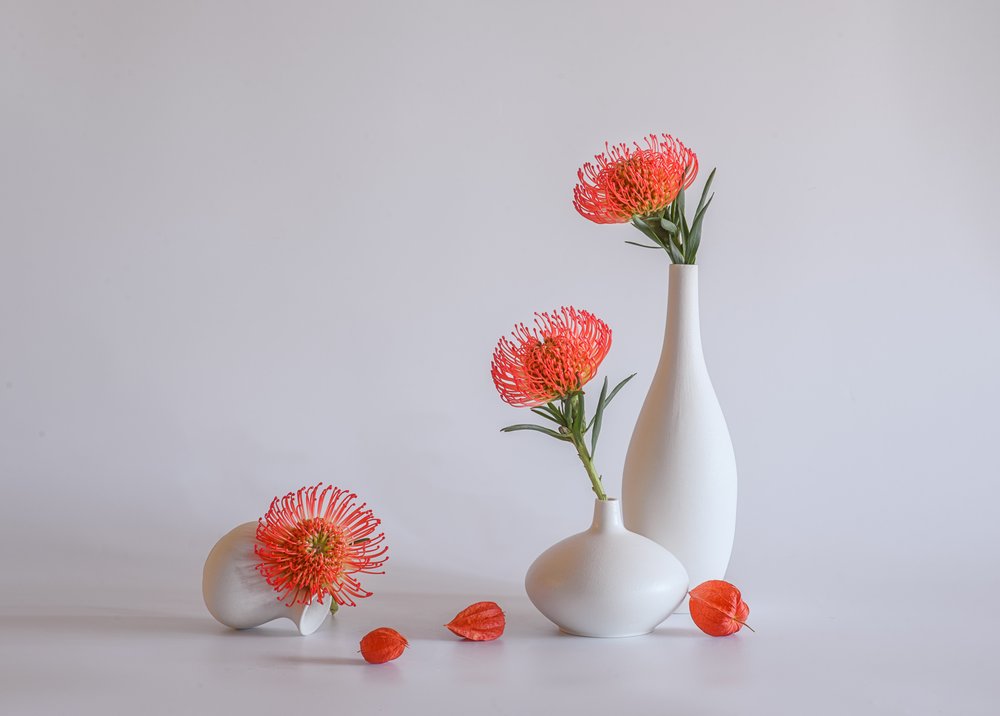 Vasi a forma di protea arancione da Alice Sheng