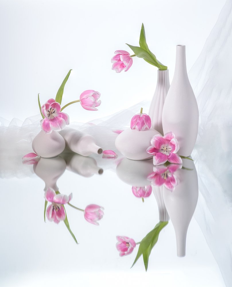 Riflessioni sul tulipano rosa da Alice Sheng