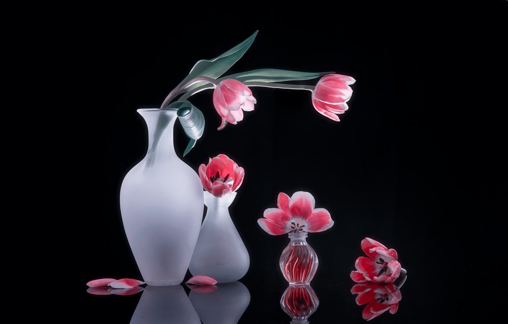 Natura morta con tulipani rosa da Alice Sheng