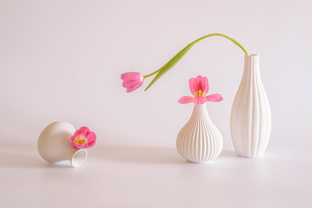 Tulipani rosa in vasi bianchi da Alice Sheng
