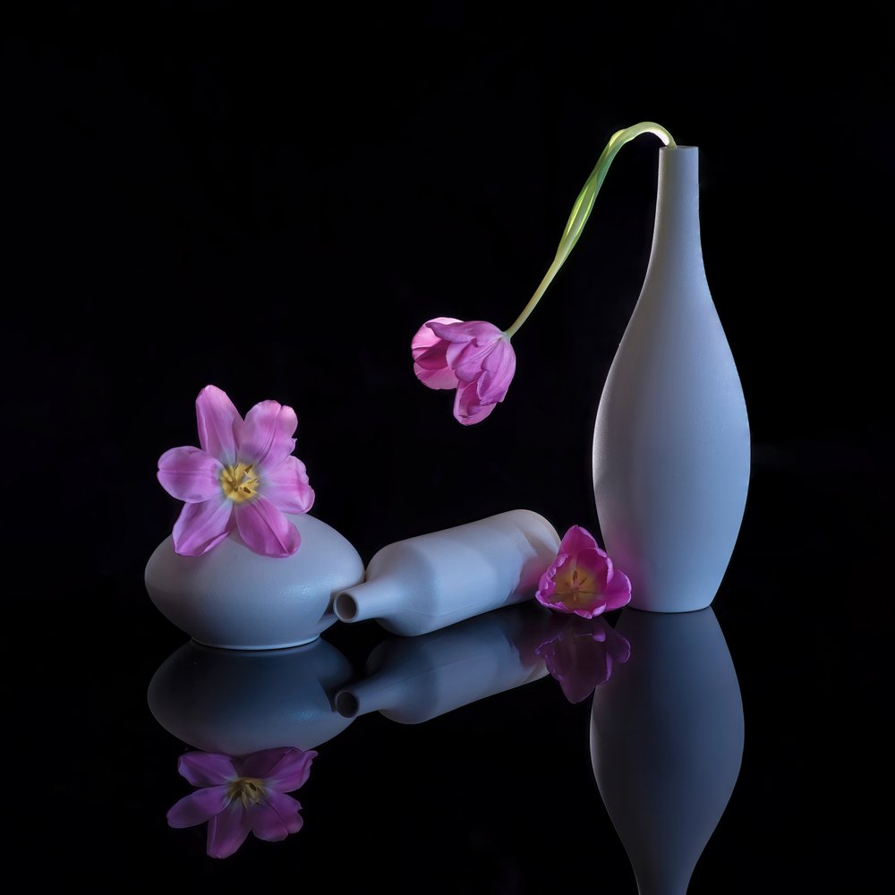 Tulipani viola riflessi da Alice Sheng
