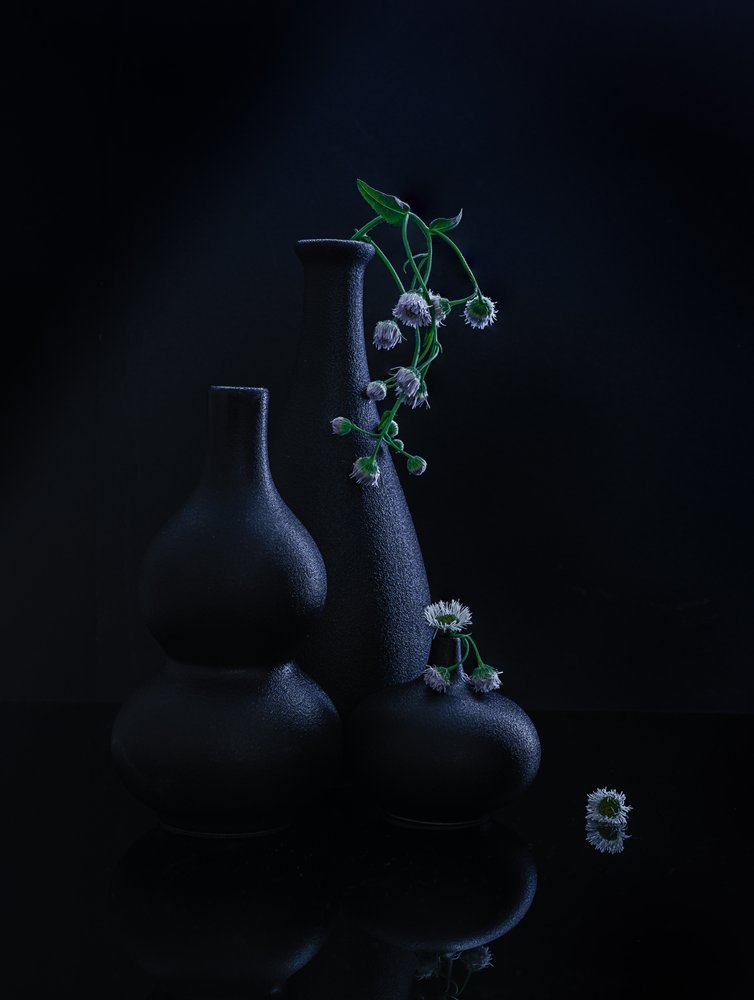 Vasi e fiori sereni da Alice Sheng