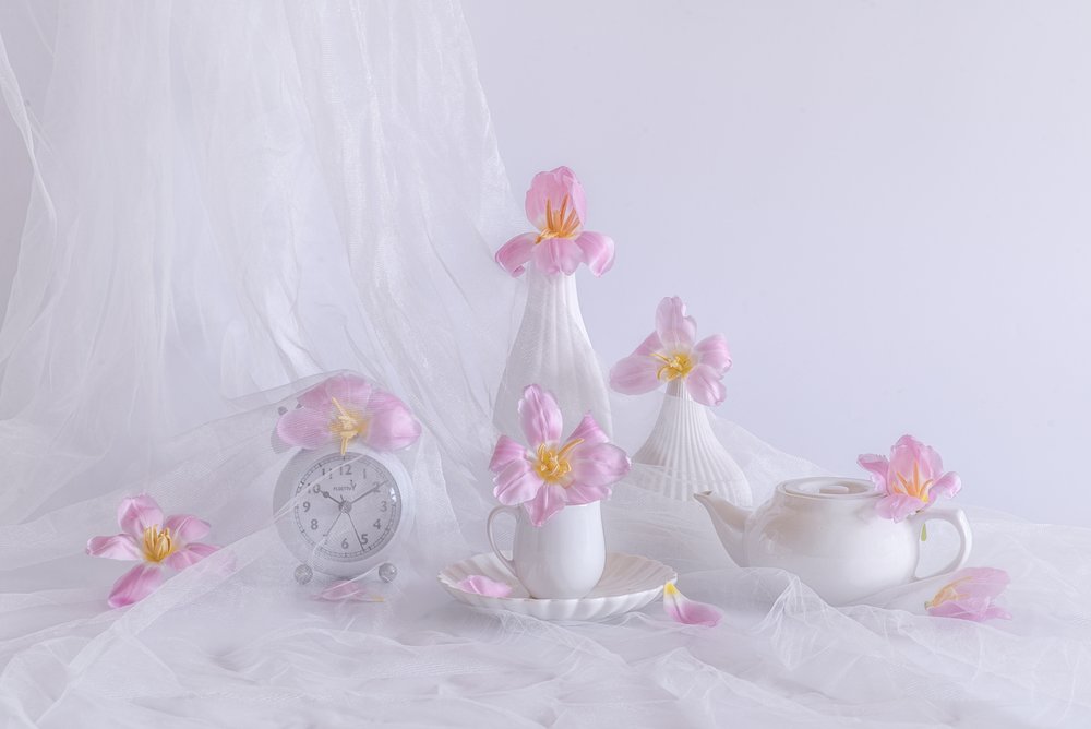 Tulipani rosa tenue da Alice Sheng