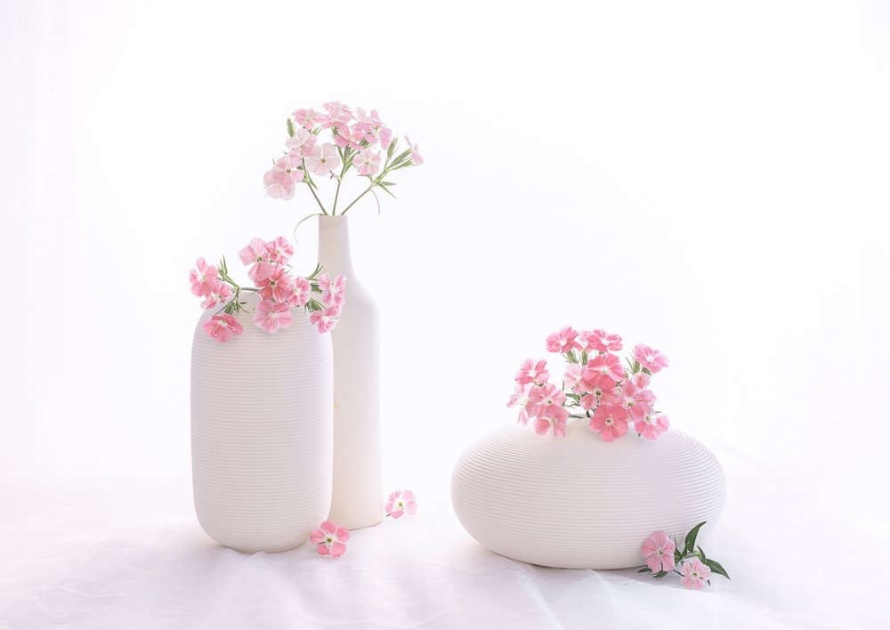 natura morta 114 da Alice Sheng