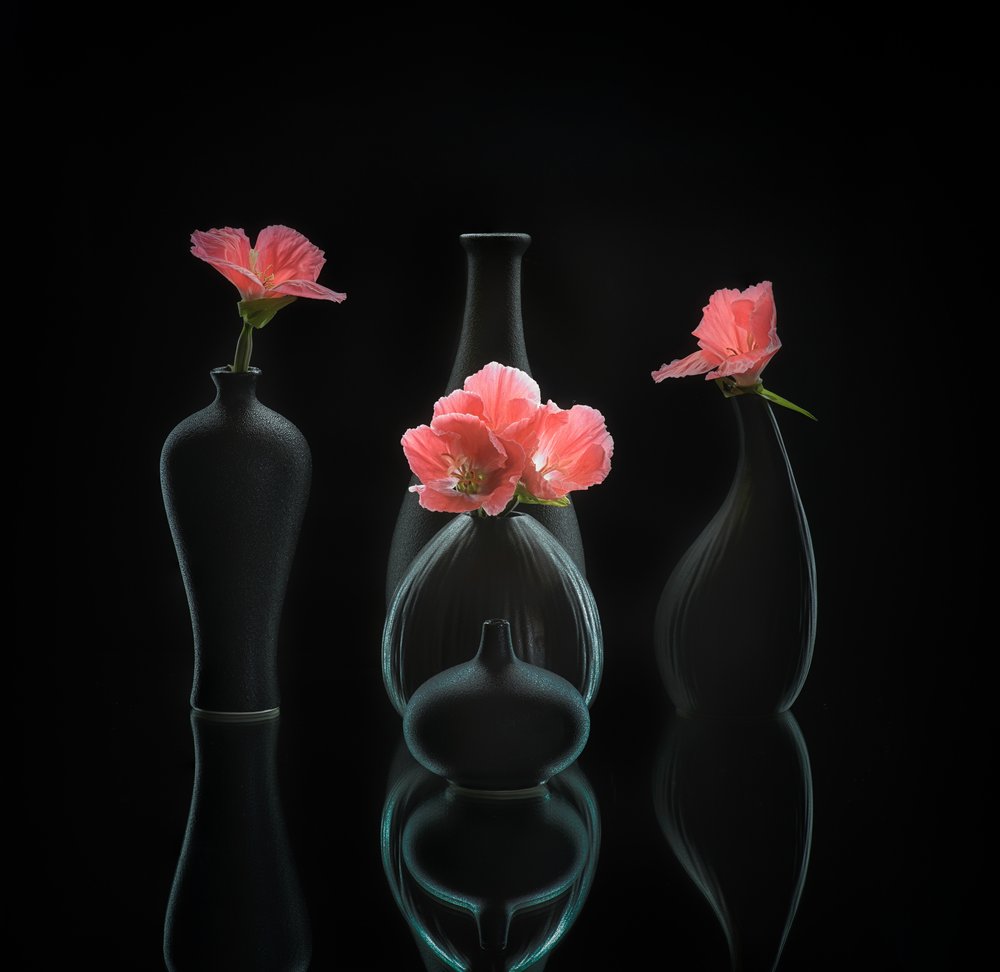 natura morta 45 da Alice Sheng