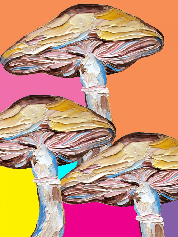 Pop art sui funghi psichedelici da Alice Straker