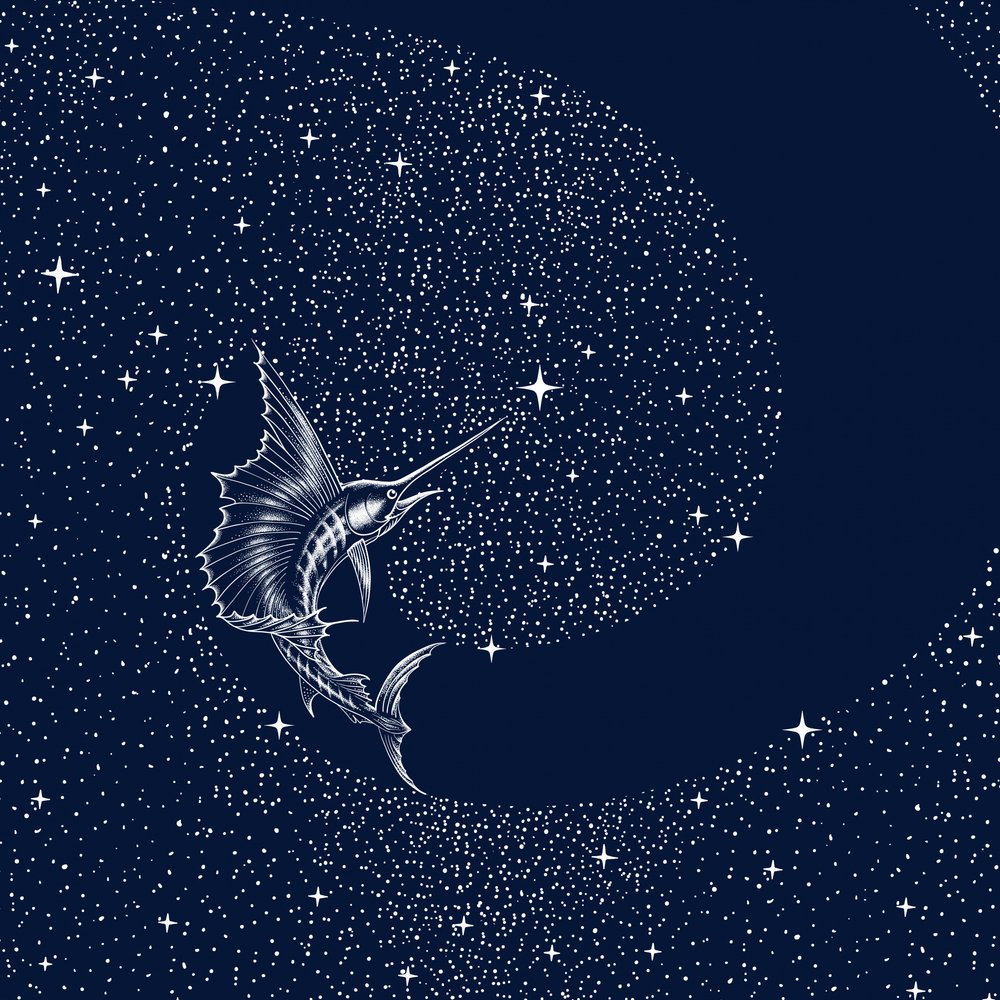 Pesce vela celeste da Alirıza ÇAKIR