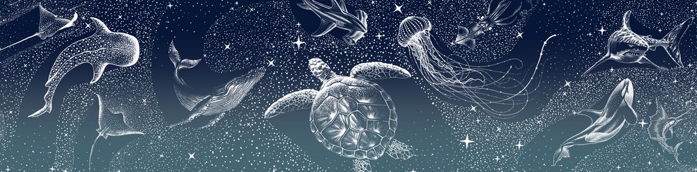 Animali marini celesti da Alirıza ÇAKIR