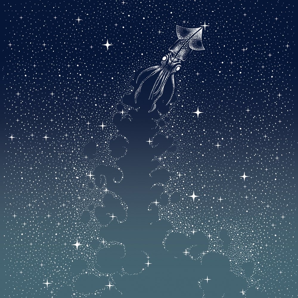 Il volo del calamaro celeste da Alirıza ÇAKIR