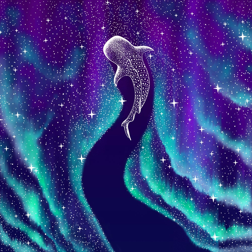 Squalo balena celeste da Alirıza ÇAKIR