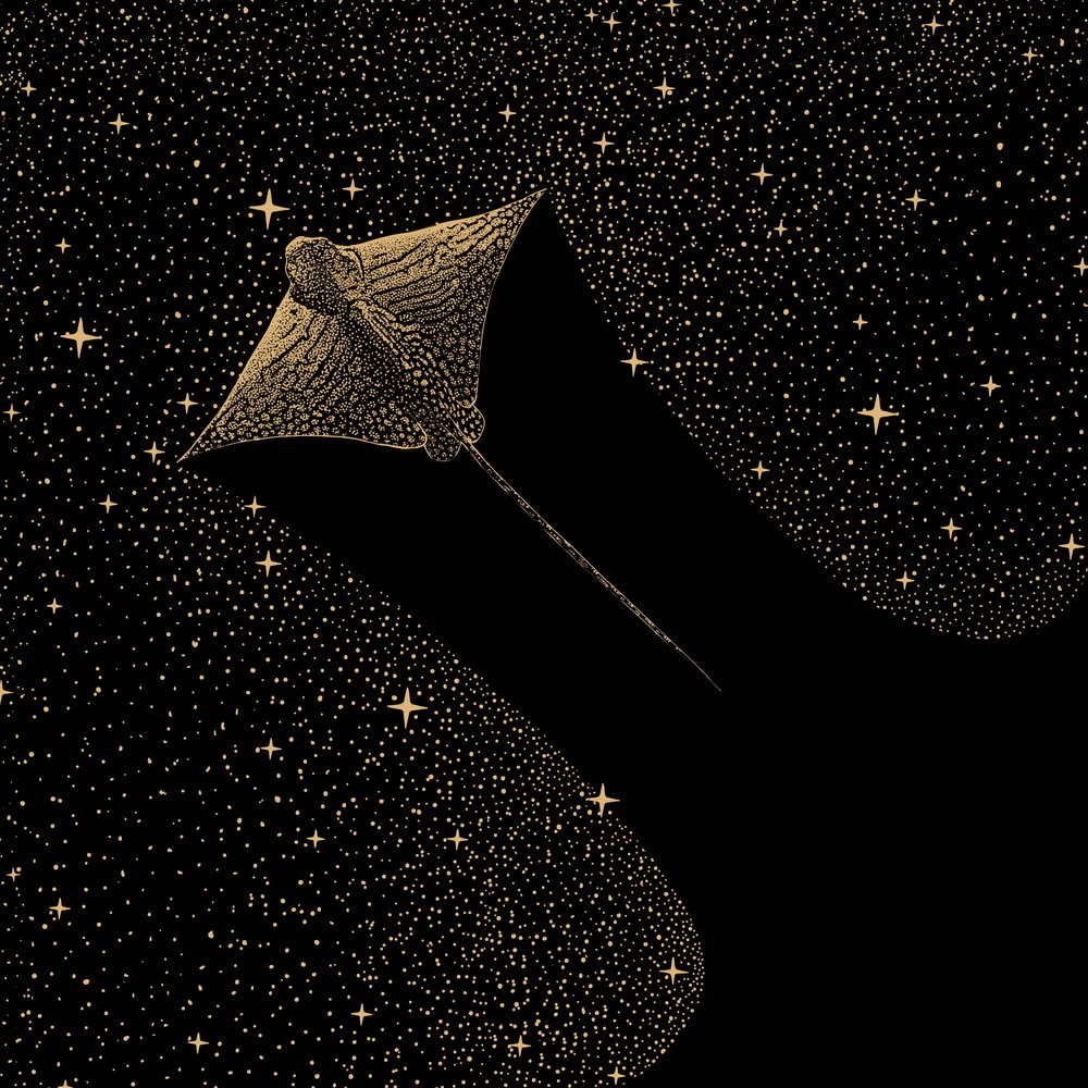 Aquila di mare cosmica da Alirıza ÇAKIR