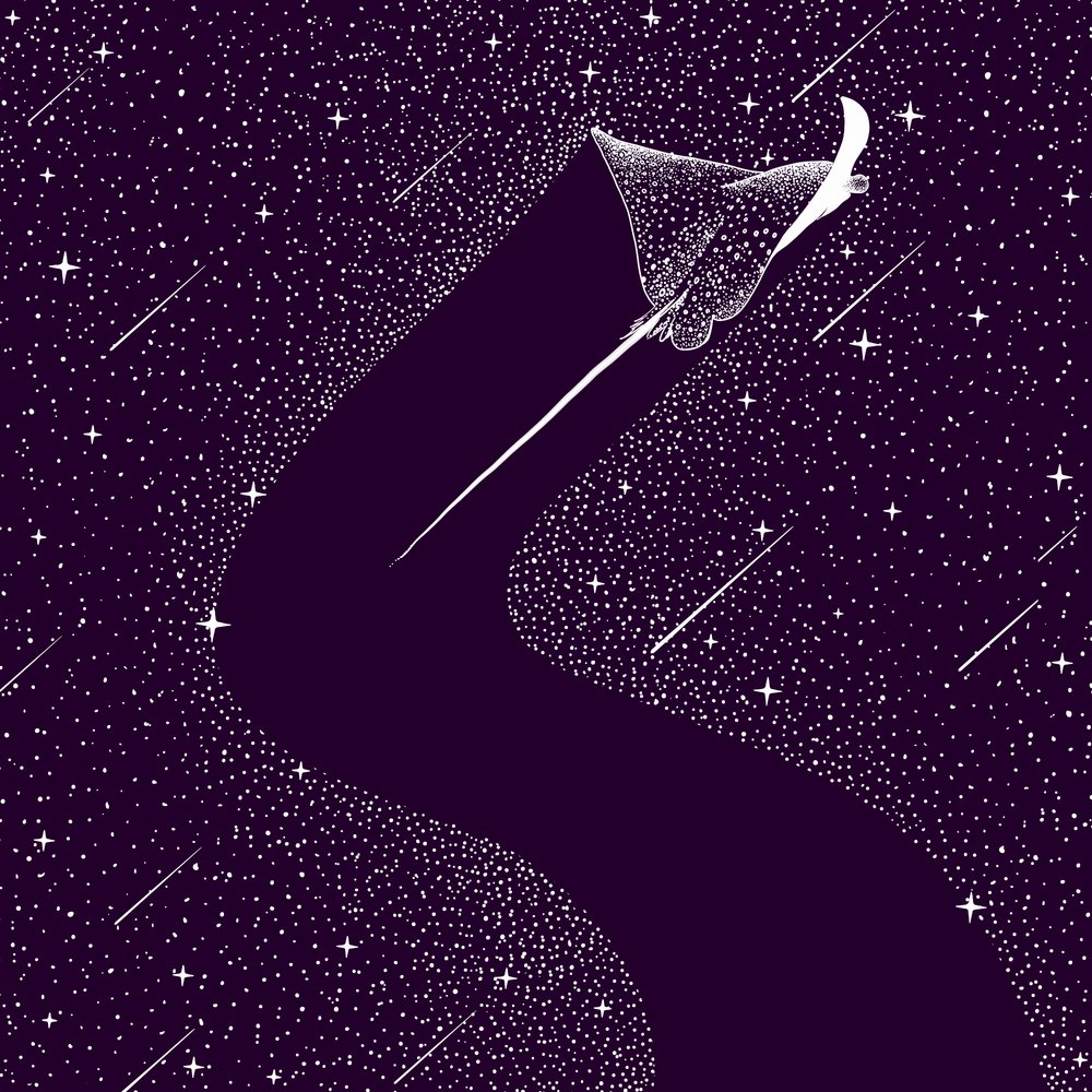 Aquila di mare cosmica da Alirıza ÇAKIR