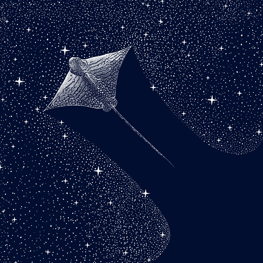 Aquila di mare cosmica da Alirıza ÇAKIR