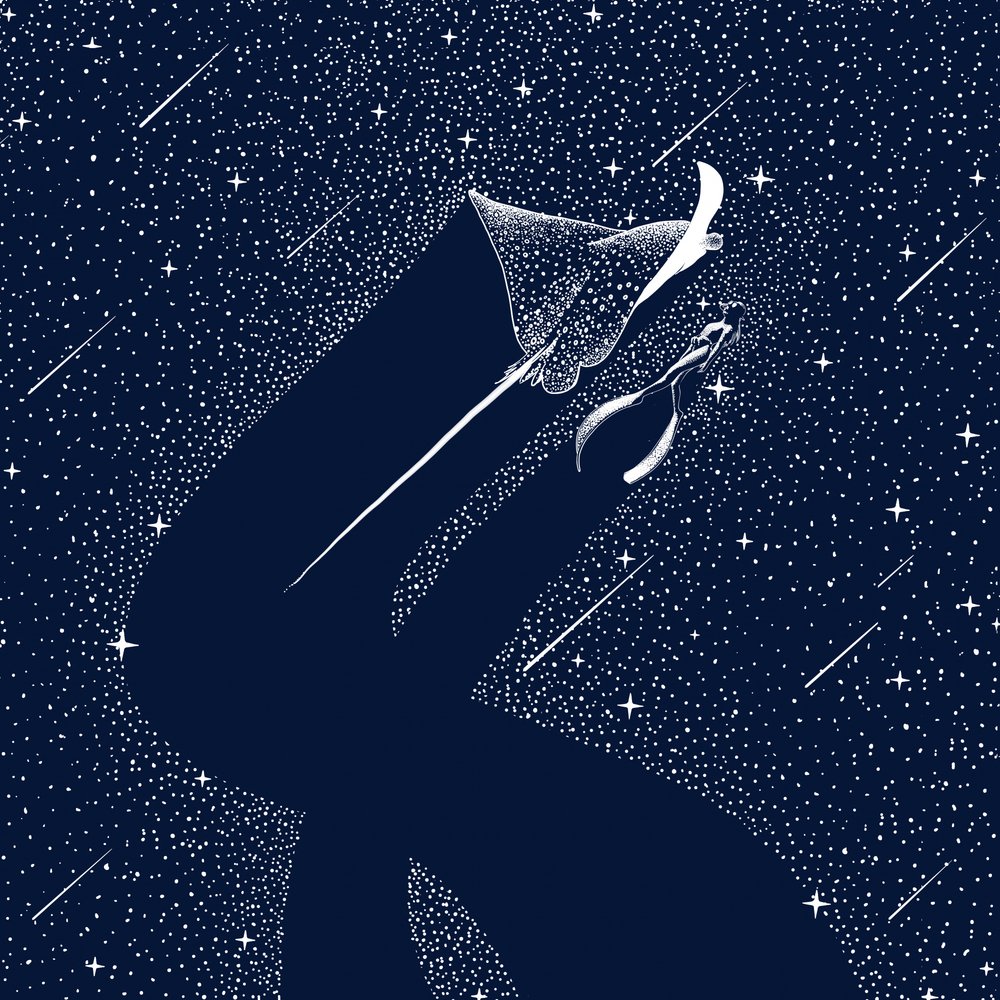 Il sogno della manta cosmica da Alirıza ÇAKIR