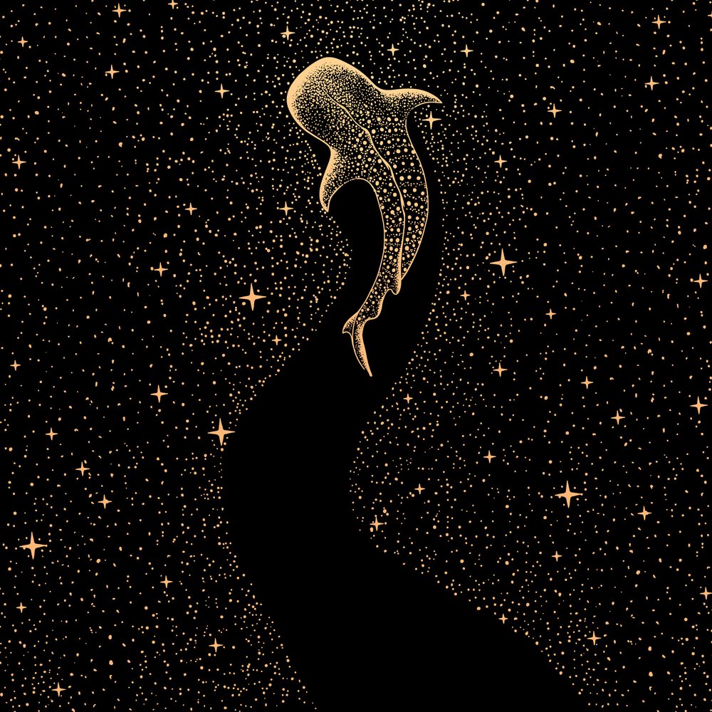 Squalo balena cosmico da Alirıza ÇAKIR