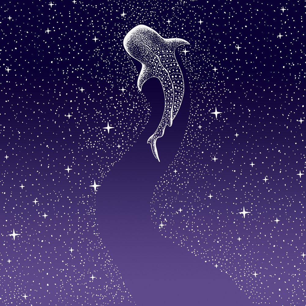 Star Eater: sfumatura dal blu scuro al viola da Alirıza ÇAKIR