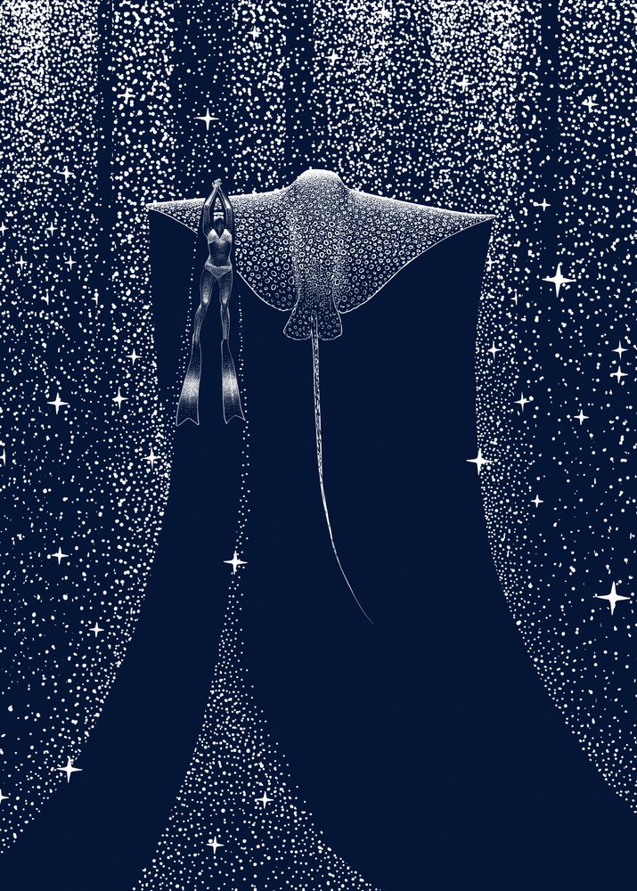 Compagno di Starlit Ray da Alirıza ÇAKIR