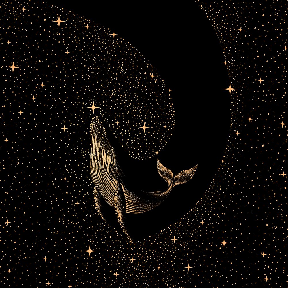 Una balena tra le stelle da Alirıza ÇAKIR