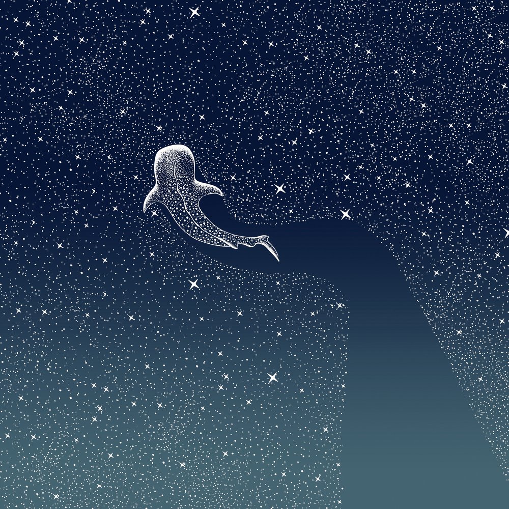 La Galassia dello squalo balena da Alirıza ÇAKIR